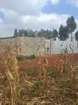 Valley View Kiambu Rd Prime 1/2 Acre Corner Plot - 2