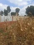 Valley View Kiambu Rd Prime 1/2 Acre Corner Plot - 3