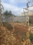 Valley View Kiambu Rd Prime 1/2 Acre Corner Plot - 4