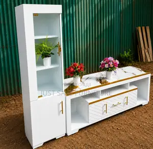 Modern White & Gold TV Stand with Display Cabinet