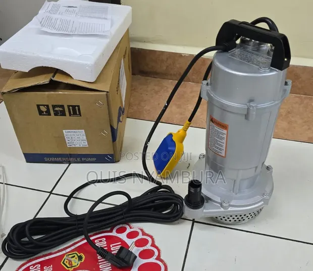 QDX 1hp Shallow Well Electric Submersible Pump - 1