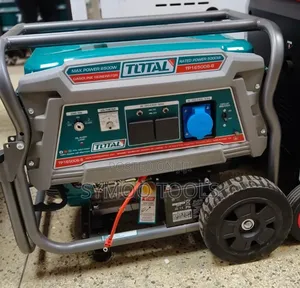 Total Heavy-Duty Portable Generator TP165006-8