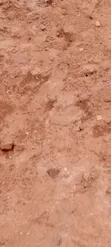 Kitengela Prime Developed 10 Acres with Borehole - Freehold Title - 3