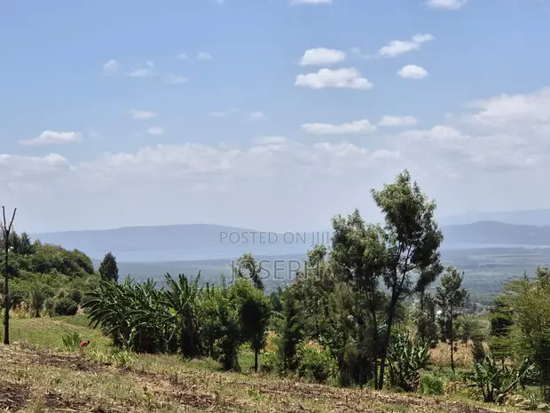 20 Acres Farm for Sale in Nakuru Miti Mingi - 1