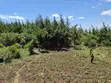20 Acres Farm for Sale in Nakuru Miti Mingi - 3