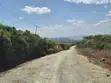 20 Acres Farm for Sale in Nakuru Miti Mingi - 4
