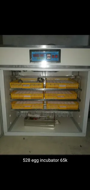 Incubator/Hatcher ya Mayai Moja kwa Moja 528 Mayai