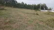 1/4 Acre Plot for Sale in Ongata Rongai, Kamura-Oloika - 3