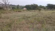 100x100ft Prime Plots for Sale in Ongata Rongai Nkoroi Kamura - 1