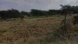 100x100ft Prime Plots for Sale in Ongata Rongai Nkoroi Kamura - 3