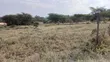 100x100ft Prime Plots for Sale in Ongata Rongai Nkoroi Kamura - 5