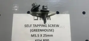 Self-Tapping Screw M5.5*25mm
