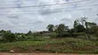 Mushrooms Gardens Estate Kiambu Road Prime 1/2 Acre Land - 5
