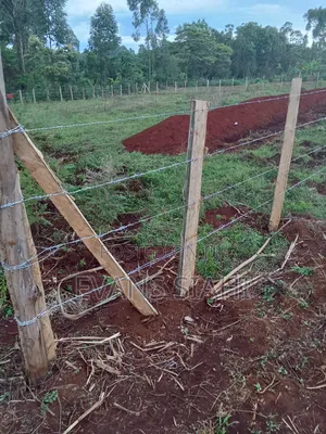 Quarter Acre Plot for Sale in Makutano, Trans Nzoia