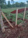 Quarter Acre Plot for Sale in Makutano, Trans Nzoia - 1