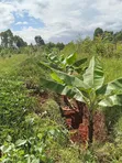 Quarter Acre Plot for Sale in Makutano, Trans Nzoia - 2