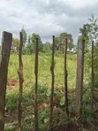 Quarter Acre Plot for Sale in Makutano, Trans Nzoia - 4