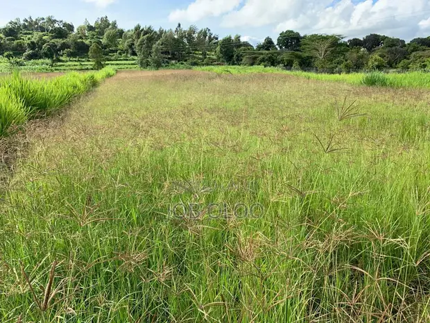 1.4 Acre Parcel in Mua Hills - 1