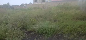 50x100ft Prime Plots for Sale in Oloitoktok, Nkoroi