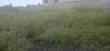 50x100ft Prime Plots for Sale in Oloitoktok, Nkoroi - 1