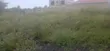 50x100ft Prime Plots for Sale in Oloitoktok, Nkoroi - 2