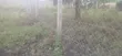 50x100ft Prime Plots for Sale in Oloitoktok, Nkoroi - 3