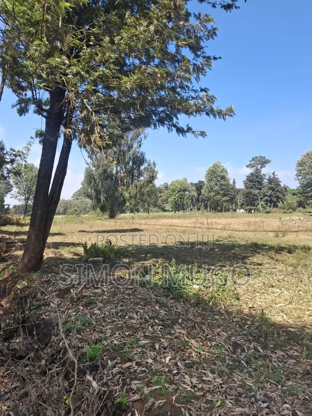 Limuru Rironi Prime 5 Acres for Sale - 1