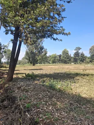 Limuru Rironi Prime 5 Acres for Sale