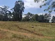Limuru Rironi Prime 5 Acres for Sale - 2