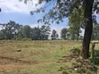 Limuru Rironi Prime 5 Acres for Sale - 3