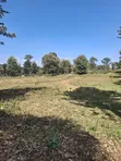 Limuru Rironi Prime 5 Acres for Sale - 4