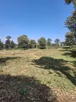 Limuru Rironi Prime 5 Acres for Sale - 5
