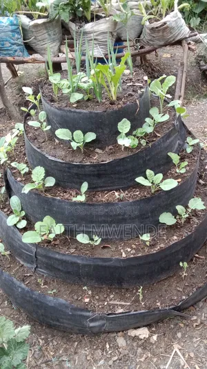 Kozi ya Mbinu za Kisasa za Kilimo