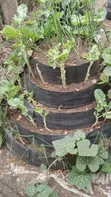 Kozi ya Mbinu za Kisasa za Kilimo - 4