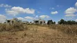 Prime Kikuyu Plot for Sale - 2