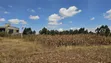 Prime Kikuyu Plot for Sale - 3