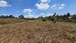 Gikambura Plots for Sale - 2