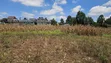 Gikambura Plots for Sale - 4