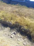 Ngimu Athiriver 50x100 Plots for Sale at KES 3.6M - 2