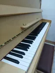 Perzina Upright Piano - Brand New - 2