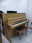 Perzina Upright Piano - Brand New - 3
