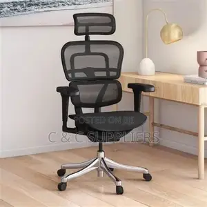 Black Full Mesh Orthopedic Home Chair