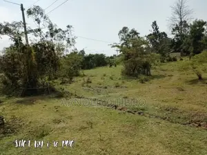 Fertile Land for Sale - Homa Bay East
