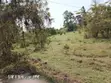 Fertile Land for Sale - Homa Bay East - 2