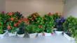 Table Flowers - 1