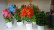 Table Flowers - 2