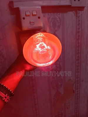 Quality Infrared Brooding Bulb - 250W