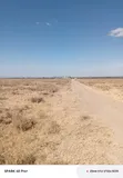 Isinya Kajiado County 50x100 Plot - Distress Sale - 1