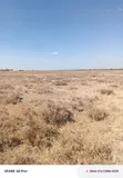 Isinya Kajiado County 50x100 Plot - Distress Sale - 5