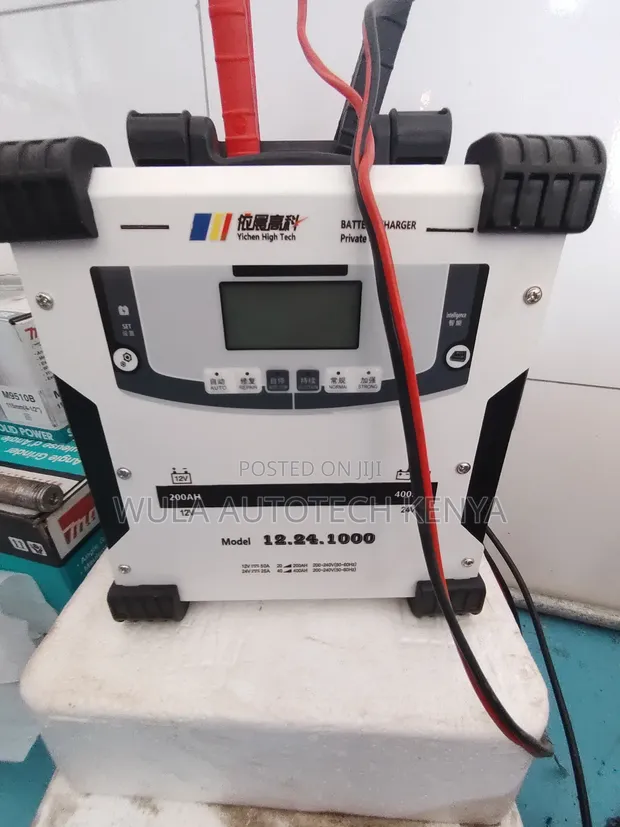 Yichen High Tech 12V/24V Automatic Battery Charger - 1